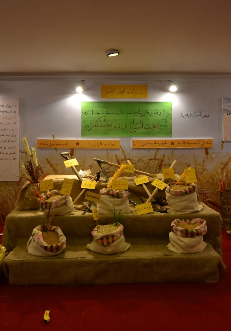 maaraz-aljamea-khi-03